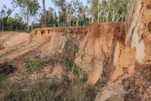 Soil erosion